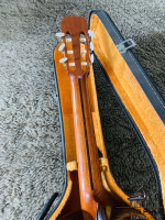 Đàn Guitar Matsuoka No.20 | Piano Hoàng Phúc