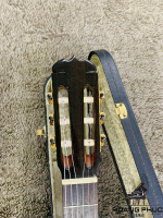 Đàn Guitar Matsuoka No.30 | Piano Hoàng Phúc