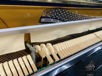 Đàn Piano Cơ FLORA | Piano Hoàng Phúc