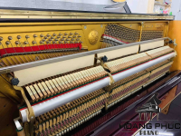 Đàn Piano Cơ Forest FU55 | Piano Hoàng Phúc