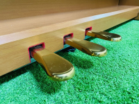 Đàn Piano Điện Kawai CN 28C | Piano Hoàng Phúc