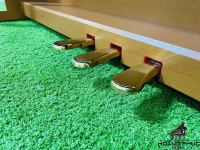 Đàn Piano Điện Kawai CN 25 | Piano Hoàng Phúc