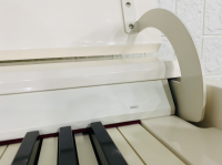 Đàn Piano Điện Roland DP 603S | Piano Hoàng Phúc