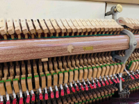 Đàn Piano Cơ Miyuki Megumi (Búa GERMANY) | Piano Hoàng Phúc