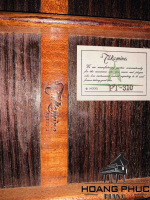 Đàn Guitar Takemine PT 310 | Piano Hoàng Phúc