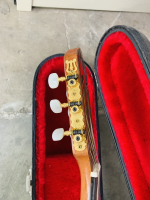 Đàn Guitar Antonio Sanchez 1017 | Piano Hoàng Phúc