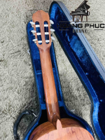 Đàn Guitar Antonio Sanchez Estudio | Piano Hoàng Phúc