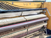 Đàn Piano Cơ Victor V31 | Piano Hoàng Phúc