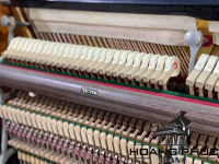 Đàn Piano Cơ Victor V31 | Piano Hoàng Phúc