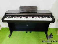 Đàn Piano Điện COLUMBIA EP 1000 | Piano Hoàng Phúc
