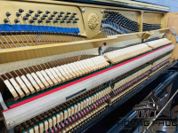 Đàn Piano Cơ Eastein U | Piano Hoàng Phúc