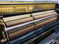 Fukuyama & Sons Alexande