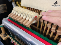 Fukuyama & Sons Alexande