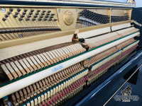 KAWAI BL51 PE  Nhập Khẩu Từ Nhật| Giá Tốt Nhất Thị Trường| Piano Hoàng Phúc.