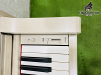 Chuyên Cung Cấp Sỉ Và Lẻ Piano & Guitar Secondhand Nhập Khẩu 100% Từ Nhật - Với Chất Lượng Và Chế Độ Bảo Hành Uy Tín, Nhanh Chóng. Hỗ trợ trả góp từ 0% bằng thẻ tín dụng cho khách hàng.