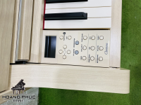 Chuyên Cung Cấp Sỉ Và Lẻ Piano & Guitar Secondhand Nhập Khẩu 100% Từ Nhật - Với Chất Lượng Và Chế Độ Bảo Hành Uy Tín, Nhanh Chóng. Hỗ trợ trả góp từ 0% bằng thẻ tín dụng cho khách hàng.