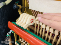 Chuyên Cung Cấp Sỉ Và Lẻ Piano & Guitar Secondhand Nhập Khẩu 100% Từ Nhật - Với Chất Lượng Và Chế Độ Bảo Hành Uy Tín, Nhanh Chóng. Hỗ trợ trả góp từ 0% bằng thẻ tín dụng cho khách hàng