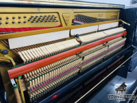 Chuyên Cung Cấp Sỉ Và Lẻ Piano & Guitar Secondhand Nhập Khẩu 100% Từ Nhật - Với Chất Lượng Và Chế Độ Bảo Hành Uy Tín, Nhanh Chóng. Hỗ trợ trả góp từ 0% bằng thẻ tín dụng cho khách hàng