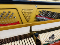 Chuyên Cung Cấp Sỉ Và Lẻ Piano & Guitar Secondhand Nhập Khẩu 100% Từ Nhật - Với Chất Lượng Và Chế Độ Bảo Hành Uy Tín, Nhanh Chóng. Hỗ trợ trả góp từ 0% bằng thẻ tín dụng cho khách hàng