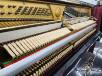 Chuyên Cung Cấp Sỉ Và Lẻ Piano & Guitar Secondhand Nhập Khẩu 100% Từ Nhật - Với Chất Lượng Và Chế Độ Bảo Hành Uy Tín, Nhanh Chóng. Hỗ trợ trả góp từ 0% bằng thẻ tín dụng cho khách hàng