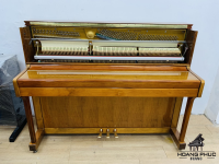 Chuyên Cung Cấp Sỉ Và Lẻ Piano & Guitar Secondhand Nhập Khẩu 100% Từ Nhật - Với Chất Lượng Và Chế Độ Bảo Hành Uy Tín, Nhanh Chóng. Hỗ trợ trả góp từ 0% bằng thẻ tín dụng cho khách hàng.