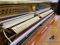 Chuyên Cung Cấp Sỉ Và Lẻ Piano & Guitar Secondhand Nhập Khẩu 100% Từ Nhật - Với Chất Lượng Và Chế Độ Bảo Hành Uy Tín, Nhanh Chóng. Hỗ trợ trả góp từ 0% bằng thẻ tín dụng cho khách hàng.