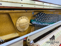 Chuyên Cung Cấp Sỉ Và Lẻ Piano & Guitar Secondhand Nhập Khẩu 100% Từ Nhật - Với Chất Lượng Và Chế Độ Bảo Hành Uy Tín, Nhanh Chóng. Hỗ trợ trả góp từ 0% bằng thẻ tín dụng cho khách hàng.