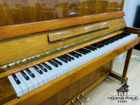 Chuyên Cung Cấp Sỉ Và Lẻ Piano & Guitar Secondhand Nhập Khẩu 100% Từ Nhật - Với Chất Lượng Và Chế Độ Bảo Hành Uy Tín, Nhanh Chóng. Hỗ trợ trả góp từ 0% bằng thẻ tín dụng cho khách hàng.