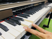 Chuyên Cung Cấp Sỉ Và Lẻ Piano & Guitar Secondhand Nhập Khẩu 100% Từ Nhật - Với Chất Lượng Và Chế Độ Bảo Hành Uy Tín, Nhanh Chóng. Hỗ trợ trả góp từ 0% bằng thẻ tín dụng cho khách hàng.