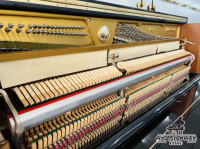 Chuyên Cung Cấp Sỉ Và Lẻ Piano & Guitar Secondhand Nhập Khẩu 100% Từ Nhật - Với Chất Lượng Và Chế Độ Bảo Hành Uy Tín, Nhanh Chóng. Hỗ trợ trả góp từ 0% bằng thẻ tín dụng cho khách hàng.