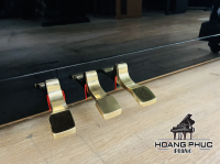 Chuyên Cung Cấp Sỉ Và Lẻ Piano & Guitar Secondhand Nhập Khẩu 100% Từ Nhật - Với Chất Lượng Và Chế Độ Bảo Hành Uy Tín, Nhanh Chóng. Hỗ trợ trả góp từ 0% bằng thẻ tín dụng cho khách hàng.