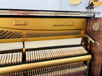 Chuyên Cung Cấp Sỉ Và Lẻ Piano & Guitar Secondhand Nhập Khẩu 100% Từ Nhật - Với Chất Lượng Và Chế Độ Bảo Hành Uy Tín, Nhanh Chóng. Hỗ trợ trả góp từ 0% bằng thẻ tín dụng cho khách hàng.