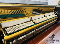 Chuyên Cung Cấp Sỉ Và Lẻ Piano & Guitar Secondhand Nhập Khẩu 100% Từ Nhật - Với Chất Lượng Và Chế Độ Bảo Hành Uy Tín, Nhanh Chóng. Hỗ trợ trả góp từ 0% bằng thẻ tín dụng cho khách hàng.