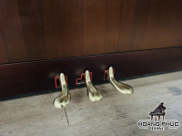 Chuyên Cung Cấp Sỉ Và Lẻ Piano & Guitar Secondhand Nhập Khẩu 100% Từ Nhật - Với Chất Lượng Và Chế Độ Bảo Hành Uy Tín, Nhanh Chóng. Hỗ trợ trả góp từ 0% bằng thẻ tín dụng cho khách hàng.