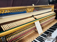 Chuyên Cung Cấp Sỉ Và Lẻ Piano & Guitar Secondhand Nhập Khẩu 100% Từ Nhật - Với Chất Lượng Và Chế Độ Bảo Hành Uy Tín, Nhanh Chóng. Hỗ trợ trả góp từ 0% bằng thẻ tín dụng cho khách hàng.