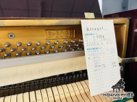 Chuyên Cung Cấp Sỉ Và Lẻ Piano & Guitar Secondhand Nhập Khẩu 100% Từ Nhật - Với Chất Lượng Và Chế Độ Bảo Hành Uy Tín, Nhanh Chóng. Hỗ trợ trả góp từ 0% bằng thẻ tín dụng cho khách hàng.