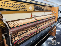 Chuyên Cung Cấp Sỉ Và Lẻ Piano & Guitar Secondhand Nhập Khẩu 100% Từ Nhật - Với Chất Lượng Và Chế Độ Bảo Hành Uy Tín, Nhanh Chóng. Hỗ trợ trả góp từ 0% bằng thẻ tín dụng cho khách hàng.