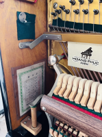 Chuyên Cung Cấp Sỉ Và Lẻ Piano & Guitar Secondhand Nhập Khẩu 100% Từ Nhật - Với Chất Lượng Và Chế Độ Bảo Hành Uy Tín, Nhanh Chóng. Hỗ trợ trả góp từ 0% bằng thẻ tín dụng cho khách hàng.