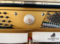 Chuyên Cung Cấp Sỉ Và Lẻ Piano & Guitar Secondhand Nhập Khẩu 100% Từ Nhật - Với Chất Lượng Và Chế Độ Bảo Hành Uy Tín, Nhanh Chóng. Hỗ trợ trả góp từ 0% bằng thẻ tín dụng cho khách hàng.