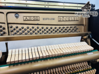 Chuyên Cung Cấp Sỉ Và Lẻ Piano & Guitar Secondhand Nhập Khẩu 100% Từ Nhật - Với Chất Lượng Và Chế Độ Bảo Hành Uy Tín, Nhanh Chóng. Hỗ trợ trả góp từ 0% bằng thẻ tín dụng cho khách hàng.