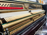 Chuyên Cung Cấp Sỉ Và Lẻ Piano & Guitar Secondhand Nhập Khẩu 100% Từ Nhật - Với Chất Lượng Và Chế Độ Bảo Hành Uy Tín, Nhanh Chóng. Hỗ trợ trả góp từ 0% bằng thẻ tín dụng cho khách hàng.