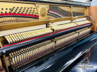 Chuyên Cung Cấp Sỉ Và Lẻ Piano & Guitar Secondhand Nhập Khẩu 100% Từ Nhật - Với Chất Lượng Và Chế Độ Bảo Hành Uy Tín, Nhanh Chóng. Hỗ trợ trả góp từ 0% bằng thẻ tín dụng cho khách hàng.