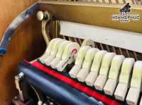 Chuyên Cung Cấp Sỉ Và Lẻ Piano & Guitar Secondhand Nhập Khẩu 100% Từ Nhật - Với Chất Lượng Và Chế Độ Bảo Hành Uy Tín, Nhanh Chóng. Hỗ trợ trả góp từ 0% bằng thẻ tín dụng cho khách hàng.