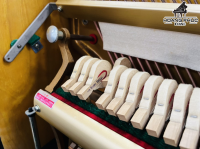 Chuyên Cung Cấp Sỉ Và Lẻ Piano & Guitar Secondhand Nhập Khẩu 100% Từ Nhật - Với Chất Lượng Và Chế Độ Bảo Hành Uy Tín, Nhanh Chóng. Hỗ trợ trả góp từ 0% bằng thẻ tín dụng cho khách hàng.