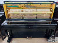 Chuyên Cung Cấp Sỉ Và Lẻ Piano & Guitar Secondhand Nhập Khẩu 100% Từ Nhật - Với Chất Lượng Và Chế Độ Bảo Hành Uy Tín, Nhanh Chóng. Hỗ trợ trả góp từ 0% bằng thẻ tín dụng cho khách hàng.