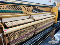 Chuyên Cung Cấp Sỉ Và Lẻ Piano & Guitar Secondhand Nhập Khẩu 100% Từ Nhật - Với Chất Lượng Và Chế Độ Bảo Hành Uy Tín, Nhanh Chóng. Hỗ trợ trả góp từ 0% bằng thẻ tín dụng cho khách hàng.
