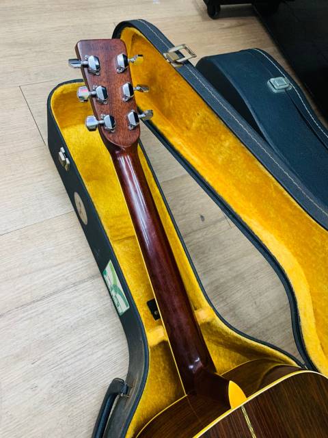 ĐÀN GUITAR MORRIS W25 CHÍNH HÃNG| NHẬP KHẨU TRỰC TIẾP TẠI NHẬT