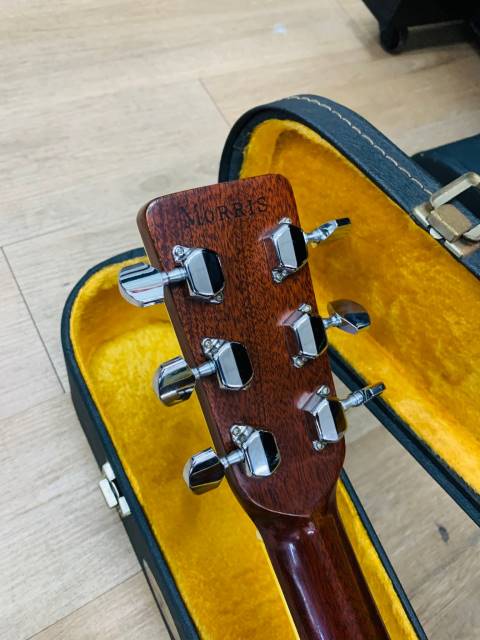 ĐÀN GUITAR MORRIS W25 CHÍNH HÃNG| NHẬP KHẨU TRỰC TIẾP TẠI NHẬT