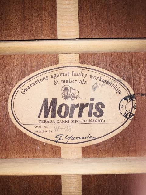 ĐÀN GUITAR MORRIS W25 CHÍNH HÃNG| NHẬP KHẨU TRỰC TIẾP TẠI NHẬT