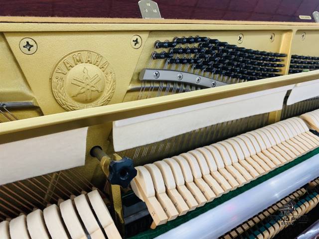 ĐÀN PIANO YAMAHA W116SC LÀ DÒNG PIANO SERIES CAO CẤP| KẾT HỢP BỘ SILENT|PIANO HOÀNG PHÚC